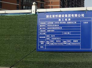 通城县麦市镇长冲村食品工业园